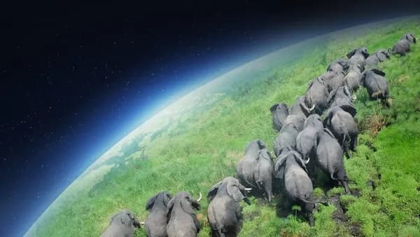 Планета Земля / BBC: Планета Земля